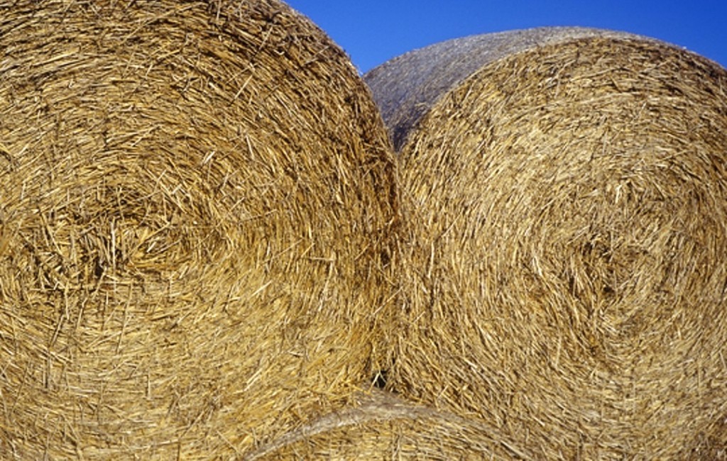 Use a Hay Probe to Ensure Safe Storage